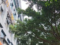 -天治宣·野椒鸡(龙头寺总店)