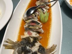 -一麦·龙岛(上海青浦店)