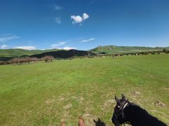 -额尔古纳黑山头绿野马帮骑马场