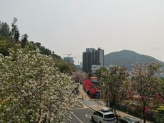 -小南山公园