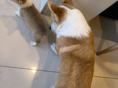 -平行世界·猫咖(首经贸店)
