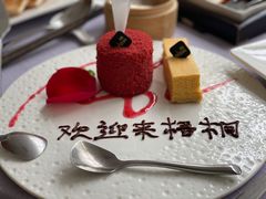 -梧桐