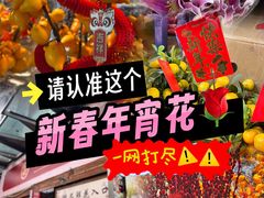 -金汇四季广场