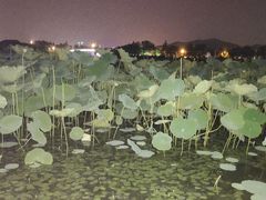 -云龙湖旅游景区