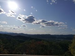 -磬锤峰森林公园