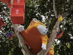 -保定百货大楼(裕华西路店)