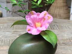 -看见远方·莫干遥远的山民宿