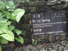 -海口观澜湖火山温泉谷