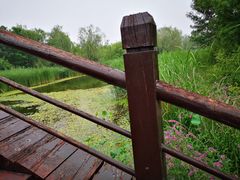 -武清南湖绿博园