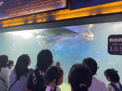 -烟台海昌鲸鲨海洋公园