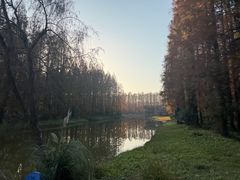 -黄海国家森林公园