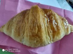 -WHEN PIGS FLY当猪飞