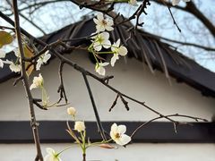 -北京世界公园