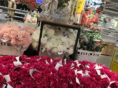 -宜家家居(哈尔滨商场店)