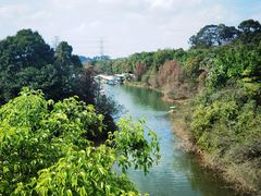 -水濂山森林公园