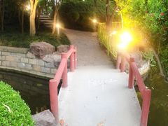 -嘉定紫藤园