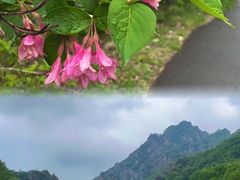 -大连天门山国家森林公园