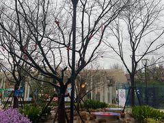 -上海交通大学医学院附属瑞金医院(总院)