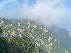 -泰山花样年华景区