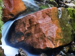 -鹿院坪生态旅游景区