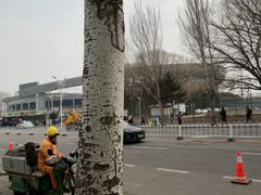 -铁西体育场