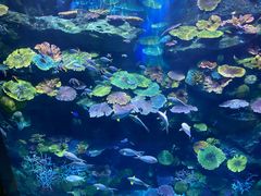 -暹罗海洋世界