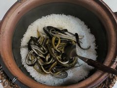 -顺德·古草食记(长寿店)