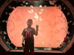 -沈阳海洋探索中心