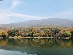 -紫霞湖公园