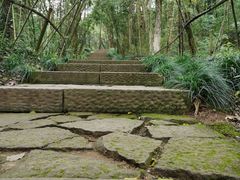 -杭州半山国家森林公园