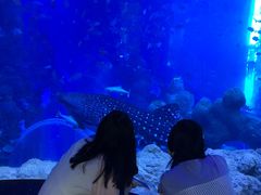 -成都浩海立方海洋公园