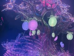 -珠海长隆海洋王国