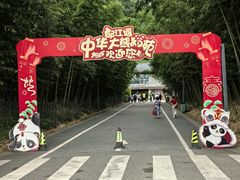 -都江堰中华大熊猫苑