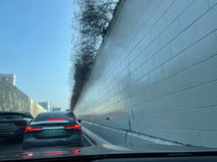 -鲨鱼皮汽车凹陷玻璃修复(静安店)