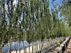 -党河风情线国家水利风景区