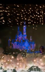 -迈瑞米求婚策划(静安店)