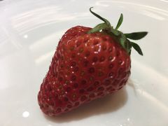 -明珠海港大酒店