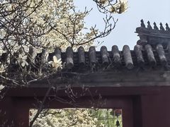 -北京艺术博物馆(万寿寺)