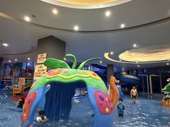 -地中海传奇水汇
