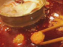 -蜀九香火锅(彩虹店)