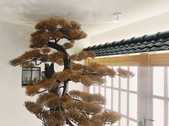 景观位-伊豆野菜村(City店)