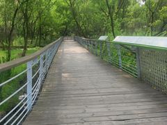 -西湖风景区-江洋畈生态公园