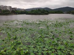 -江南大学(蠡湖校区)