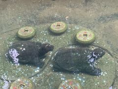 -镇江市南山风景名胜区竹林景区