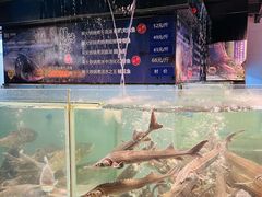 -贺庄·活鱼馆(珠吉路店)