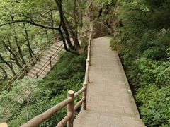 -牛背梁国家森林公园