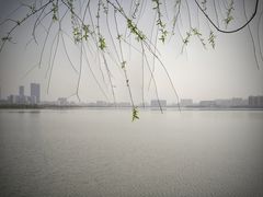 -艾溪湖湿地公园