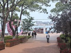 -金鸡湖桃花岛