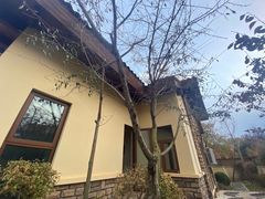-大连金石滩绿发温泉假日酒店