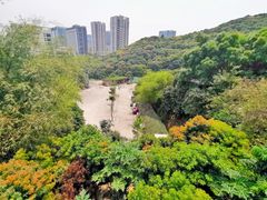 -鲤鱼塘农家山庄